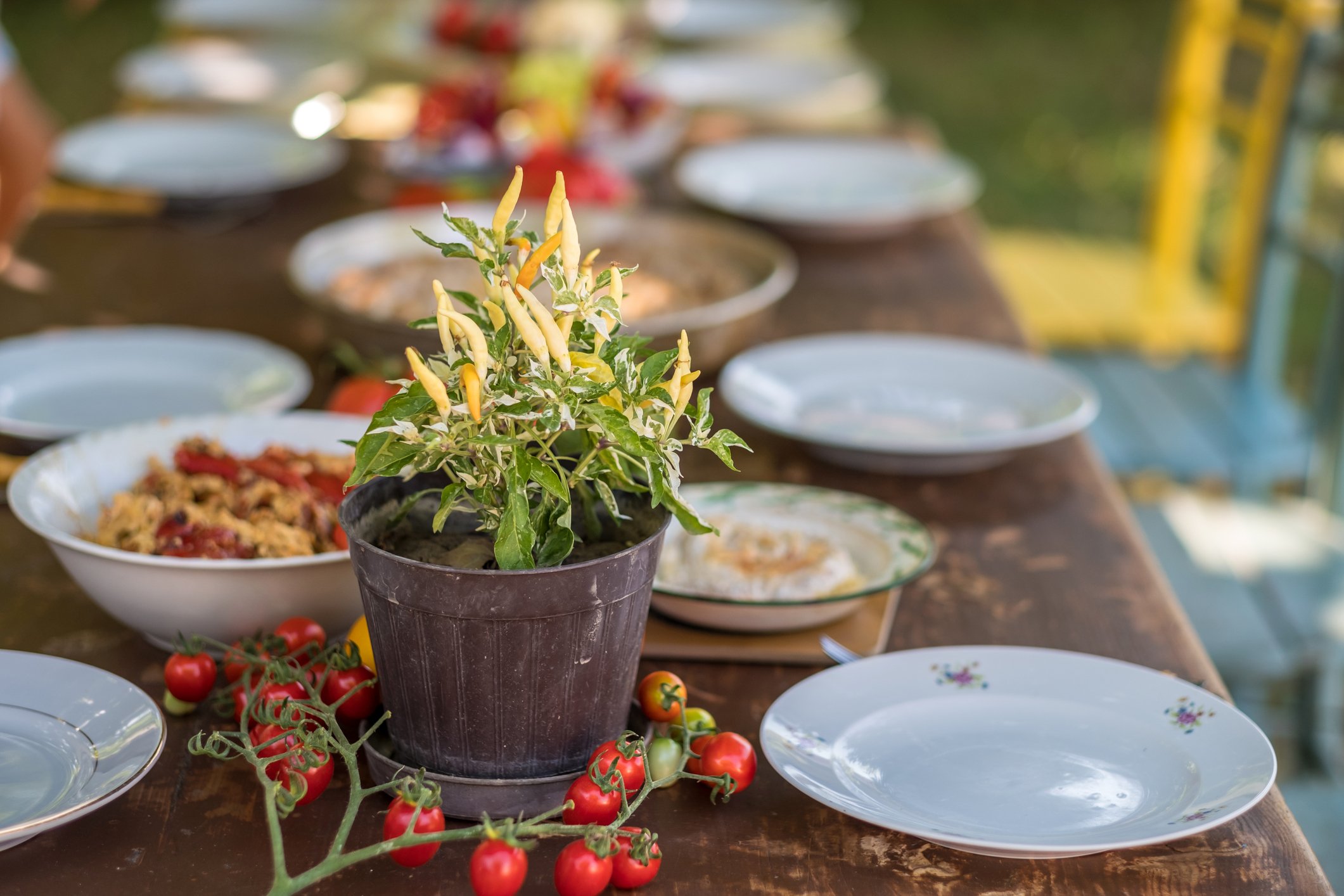 Italiaans gedekte tafel met plantje en eten