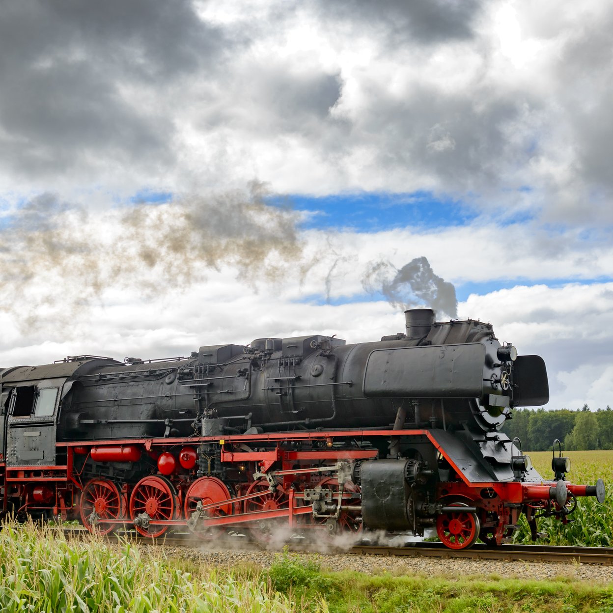 Die Veluwsche Dampfeisenbahn fährt durch eine Wiese.