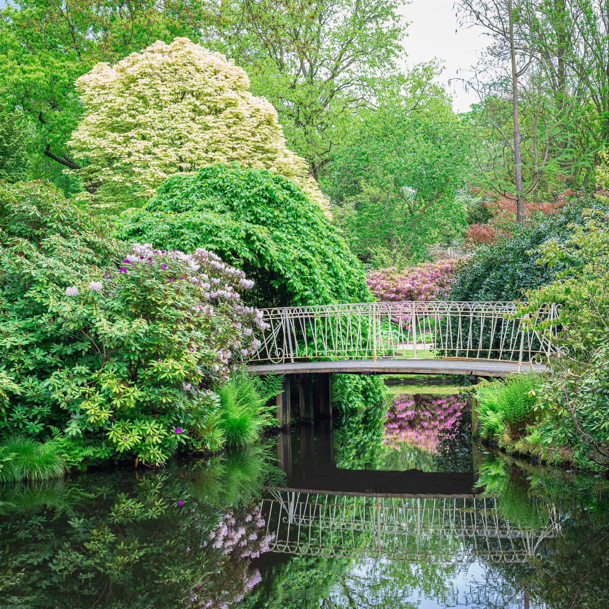 Der Botanische Garten
